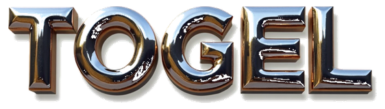 togel login logo